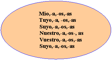Oval:                 Mío,-a,-os,-as
                Tuyo,-a, -os,-as
              Suyo,-a,-os,-as
              Nuestro,-a,-os-, as
              Vuestro,-a,-os,-as
              Suyo,-a,-os,-as

