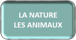 Fiches de vocabulaire - La nature - les animaux, les mammifères, les oiseaux, les reptiles et amphibiens en espagnol