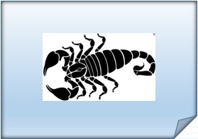 Les signes du zodiaque en espagnol - El zodiaco, Escorpio - Scorpion