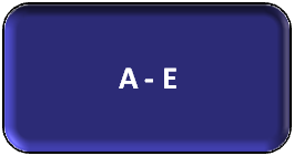 BAC Oral et Ecrit Espagnol - Anonimo, allende, almodovar, arenas, armada, atxaga, barreiro, bebe, benedetti, botero, burgos, esquivel, extebarria