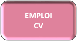 CV en espagnol, Curriculum Vitae español, El historial 