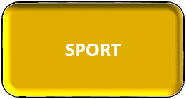 sport en espagne, foot, football