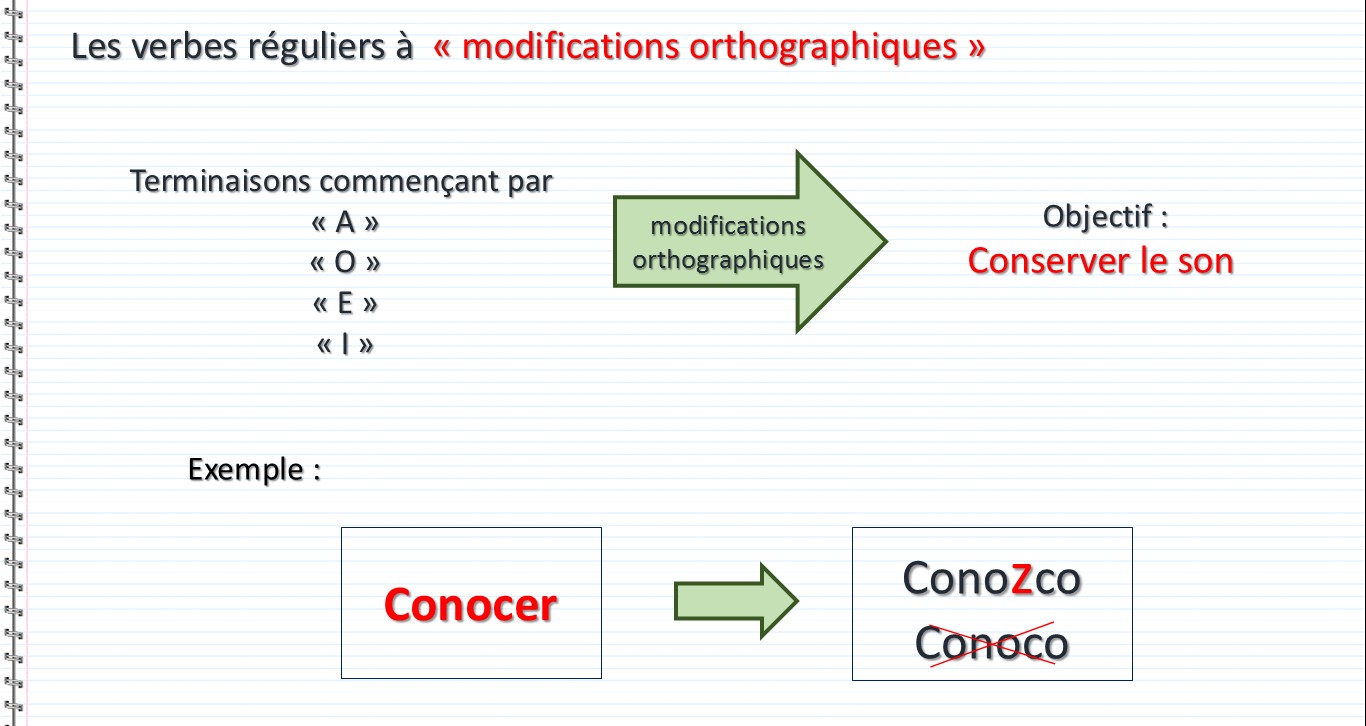 Conjuguaison des verbes réguliers à modifications orthographiques