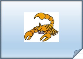 Les signes du zodiaque en espagnol - El zodiaco, Cáncer - Cancer 